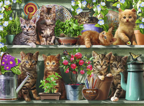 Ravensburger Cats On The Shelf Puzzle 500 Piece
