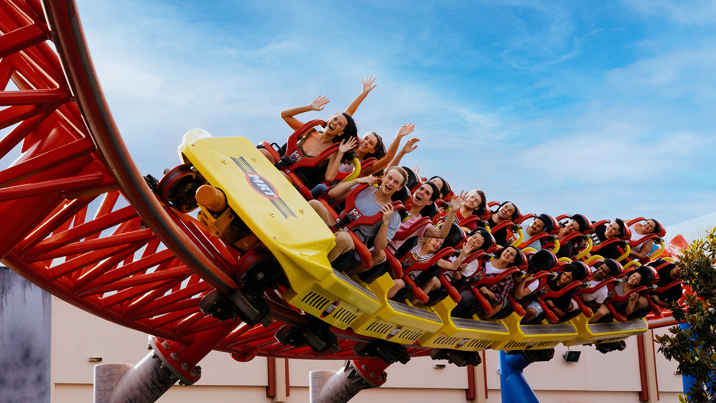 Themepark Consult